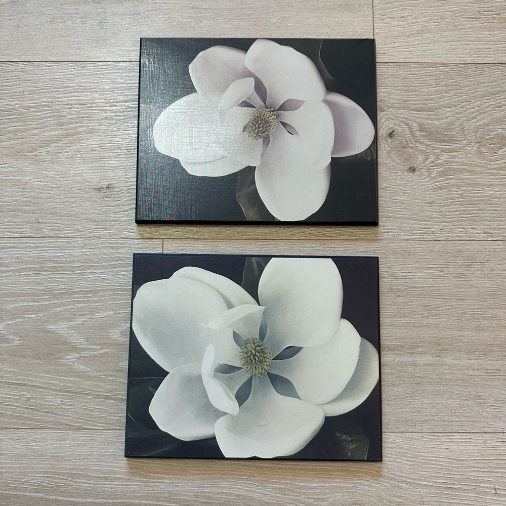 Magnolia Blooms Wooden Wall Art Set